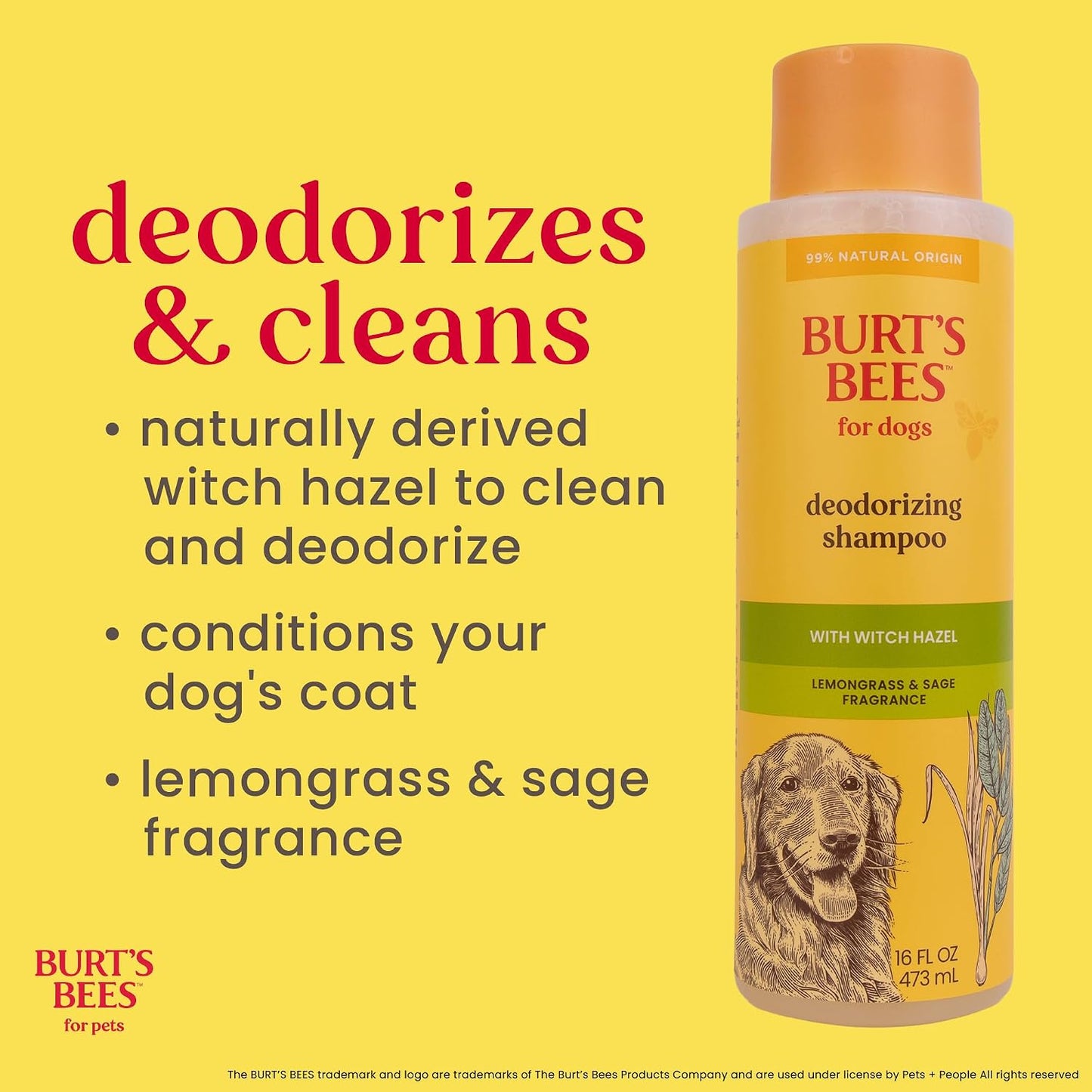 Burt's Bees for Pets Deodorizing Dog Shampoo - 16 Fl Oz