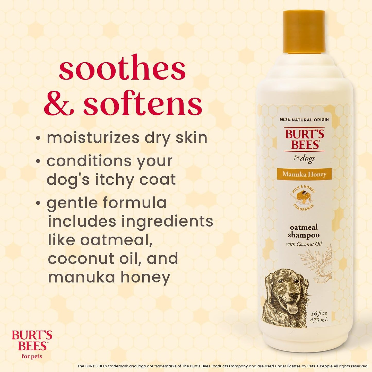 Burt's Bees for Pets Manuka Honey Oatmeal Shampoo for Dogs - 16 Fl Oz