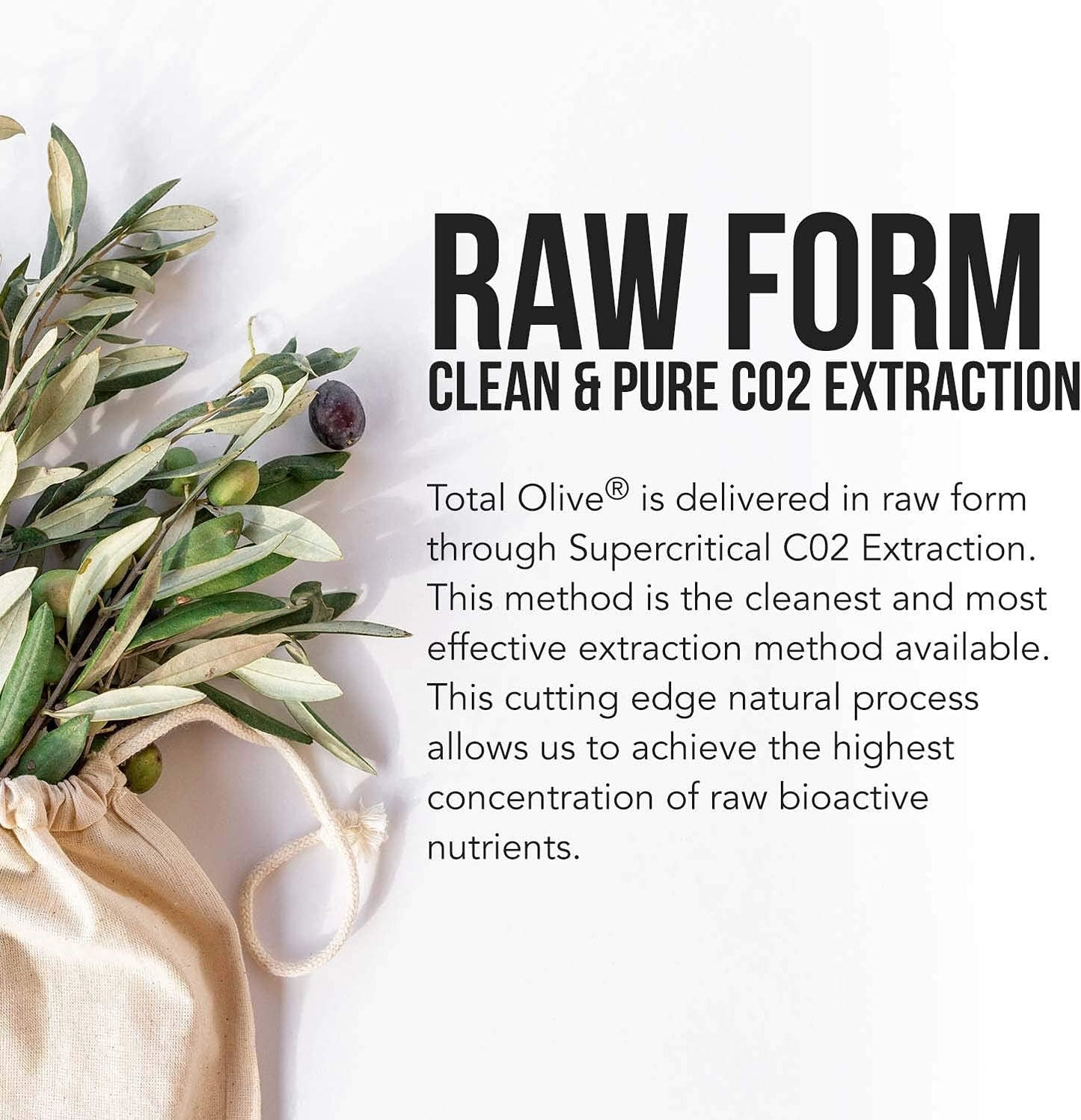 Total Olive® - Olive Leaf Extract  60 Count