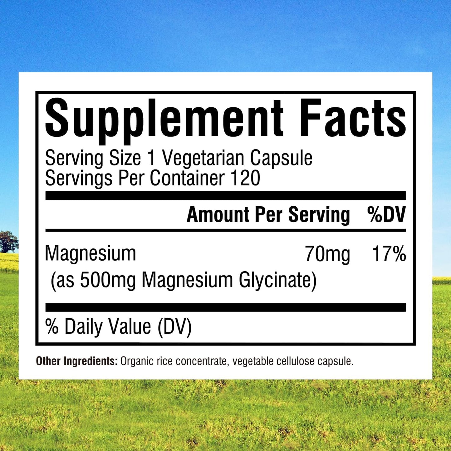 Innate Vitality Magnesium Glycinate 500mg,  Elemental Magnesium  120 Veggie Capsules