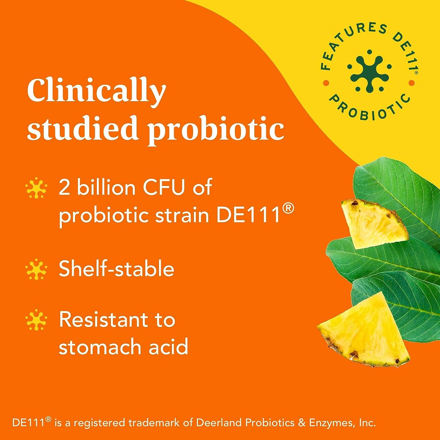 MegaFood Kombucha Powder - Probiotics for Digestive Health 10 Count