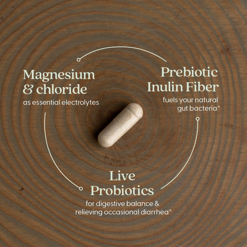 New Chapter All-Flora Probiotic Flora Fortify - 14 count