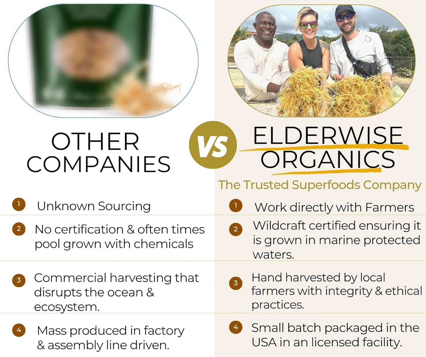 Elderwise Raw Sea Moss Organic Seamoss Makes 20oz of Gel Wildcrafted Golden Sea moss