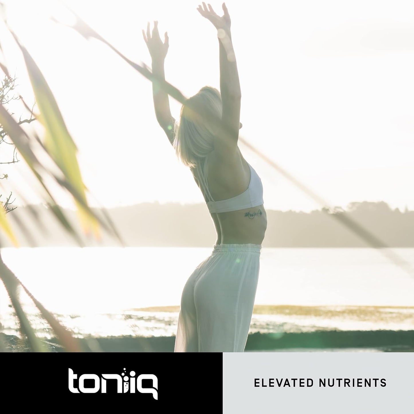 Toniiq Ultra High Purity Fisetin 500mg - 60 Capsules