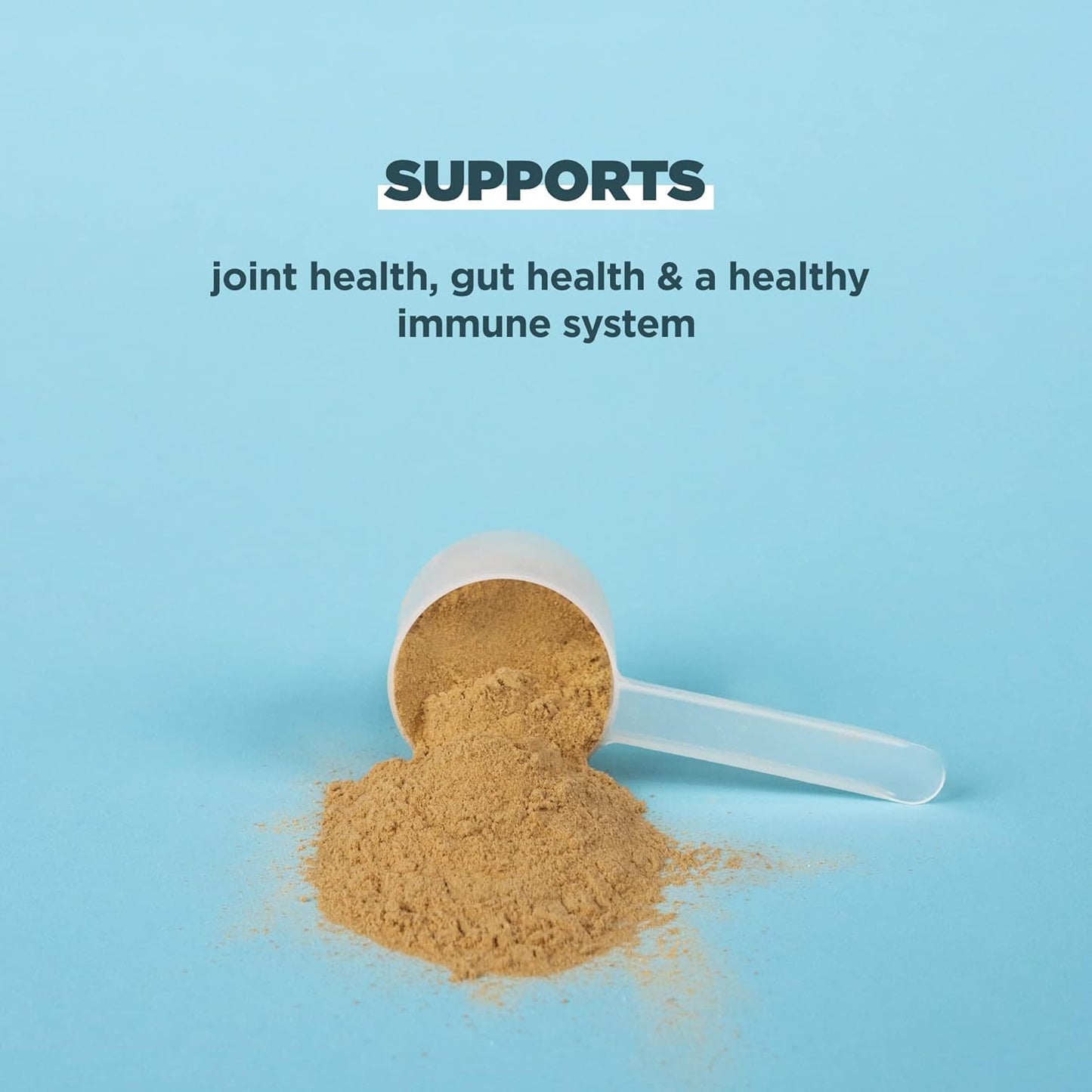 Ancient Nutrition Protein Powder Made from Real Bone Broth, Chocolate