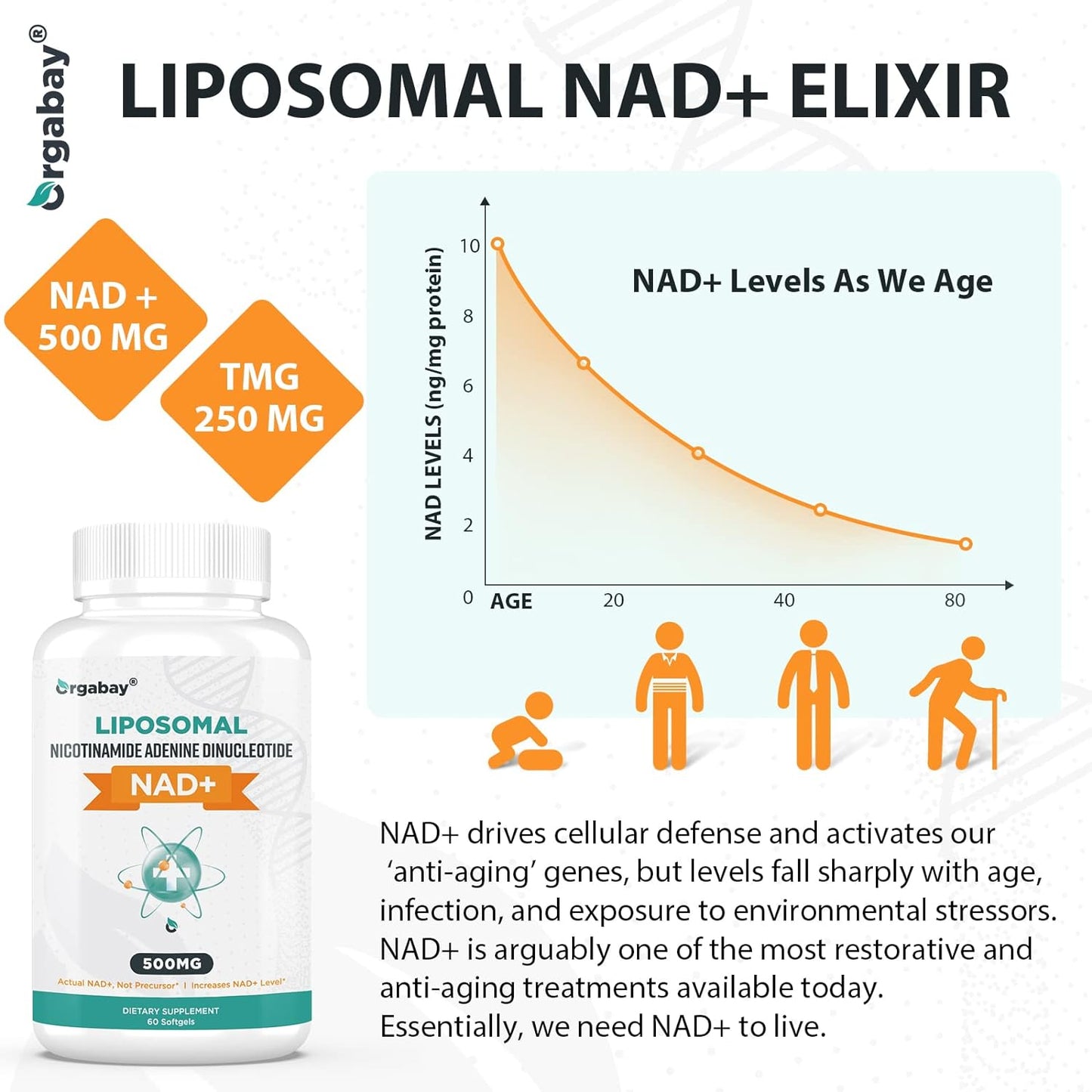 Orgabay Liposomal NAD+ Supplement  60 Softgels