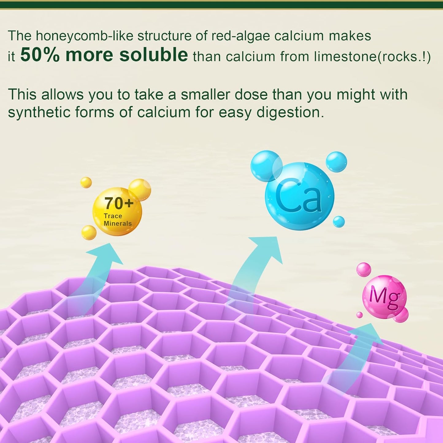 Plant Based Calcium Supplement 600mg, Whole Foods Algae Calcium Magnesium 60 Cts