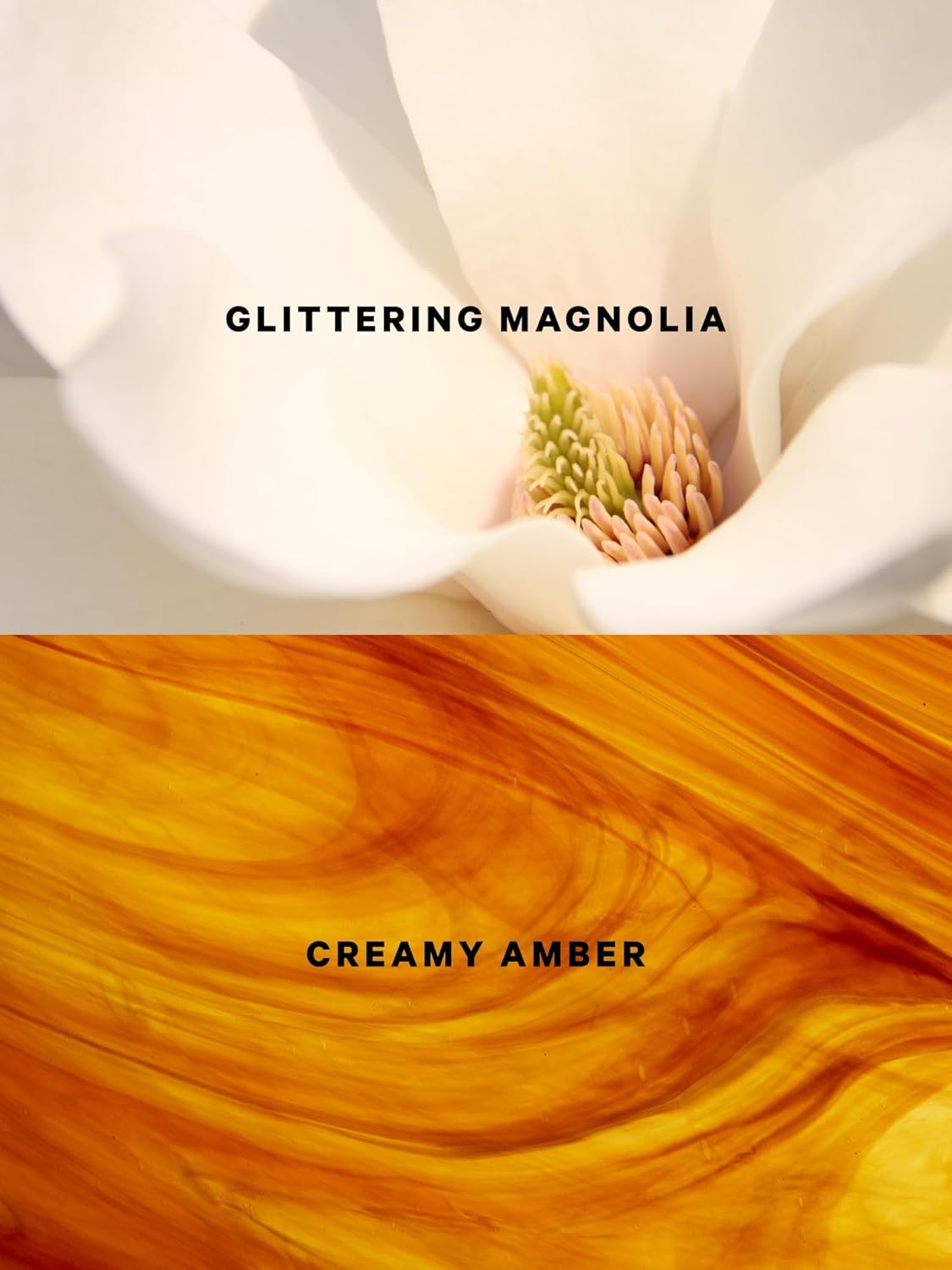 Victoria's Secret Fashion Show Radiant Wings  shimmer Body Spray for Women (8.4 oz)