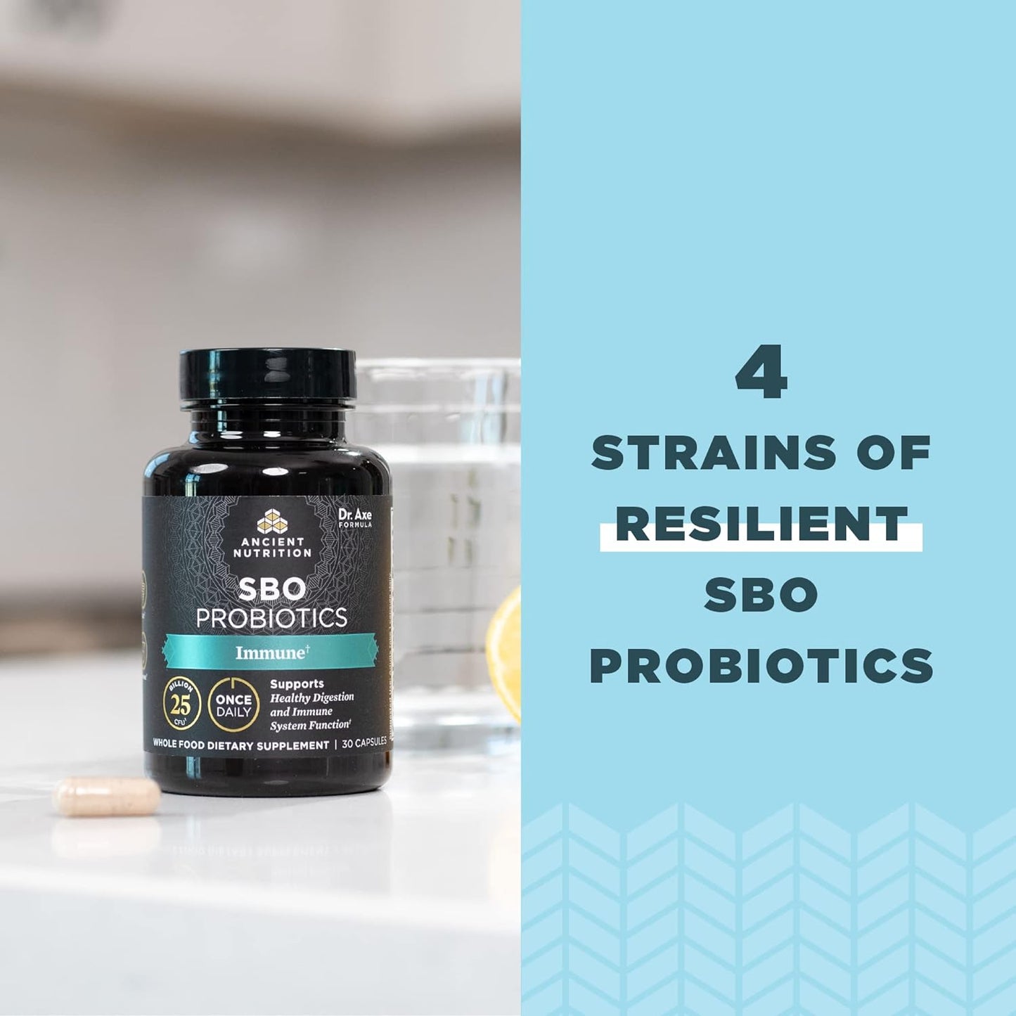 Ancient Nutrition Probiotics for Immune Support, SBO Once Daily Probiotics 30Count