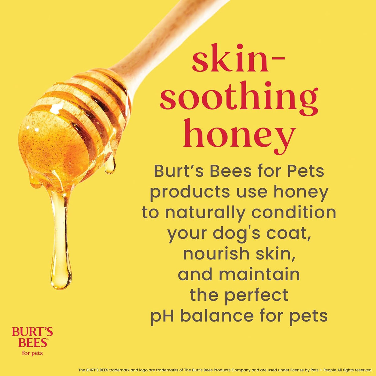 BURT'S BEES FOR PETS Shed Control Shampoo for Dogs - 16 oz