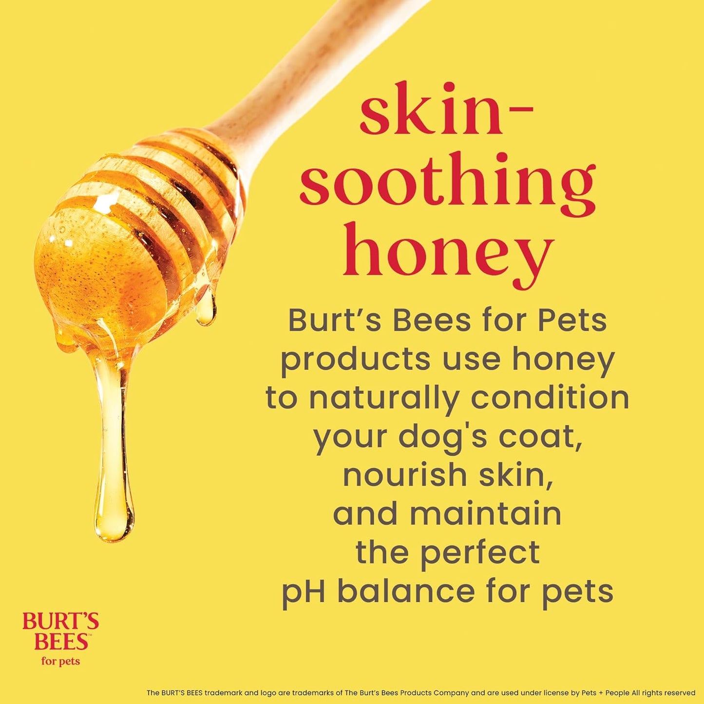Burt's Bees for Pets Deodorizing Dog Shampoo - 16 Fl Oz