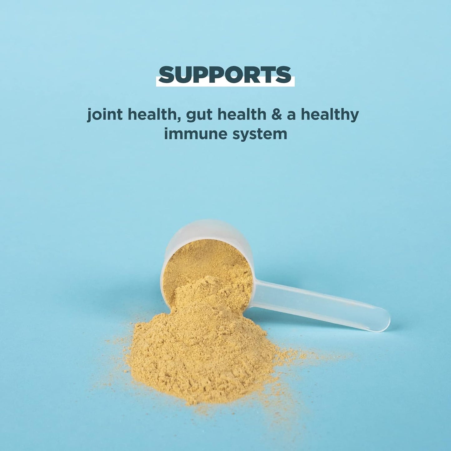 Ancient Nutrition protein Powder Bone Broth  Vanilla 20g per serving