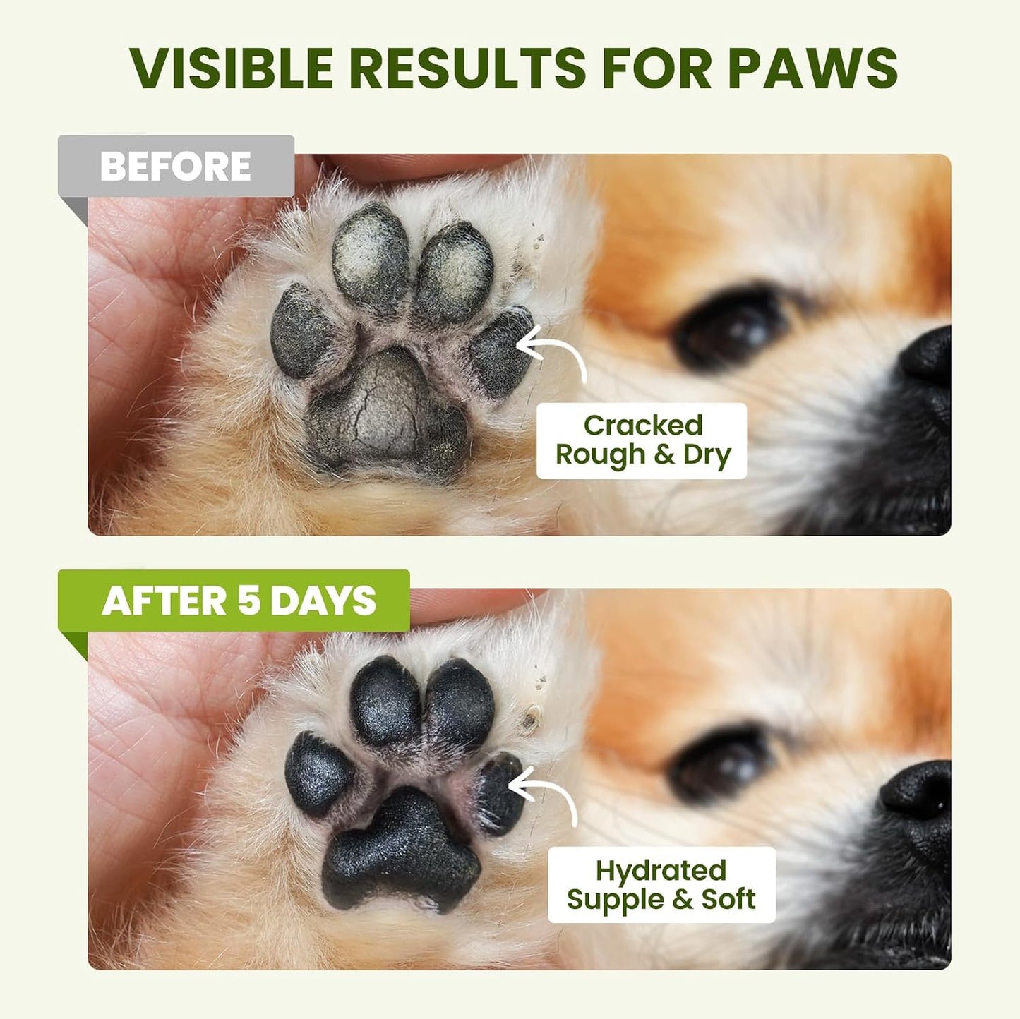 Lick-Safe Dog Paw & Nose Balm with Coconut Oil - 7.1 oz