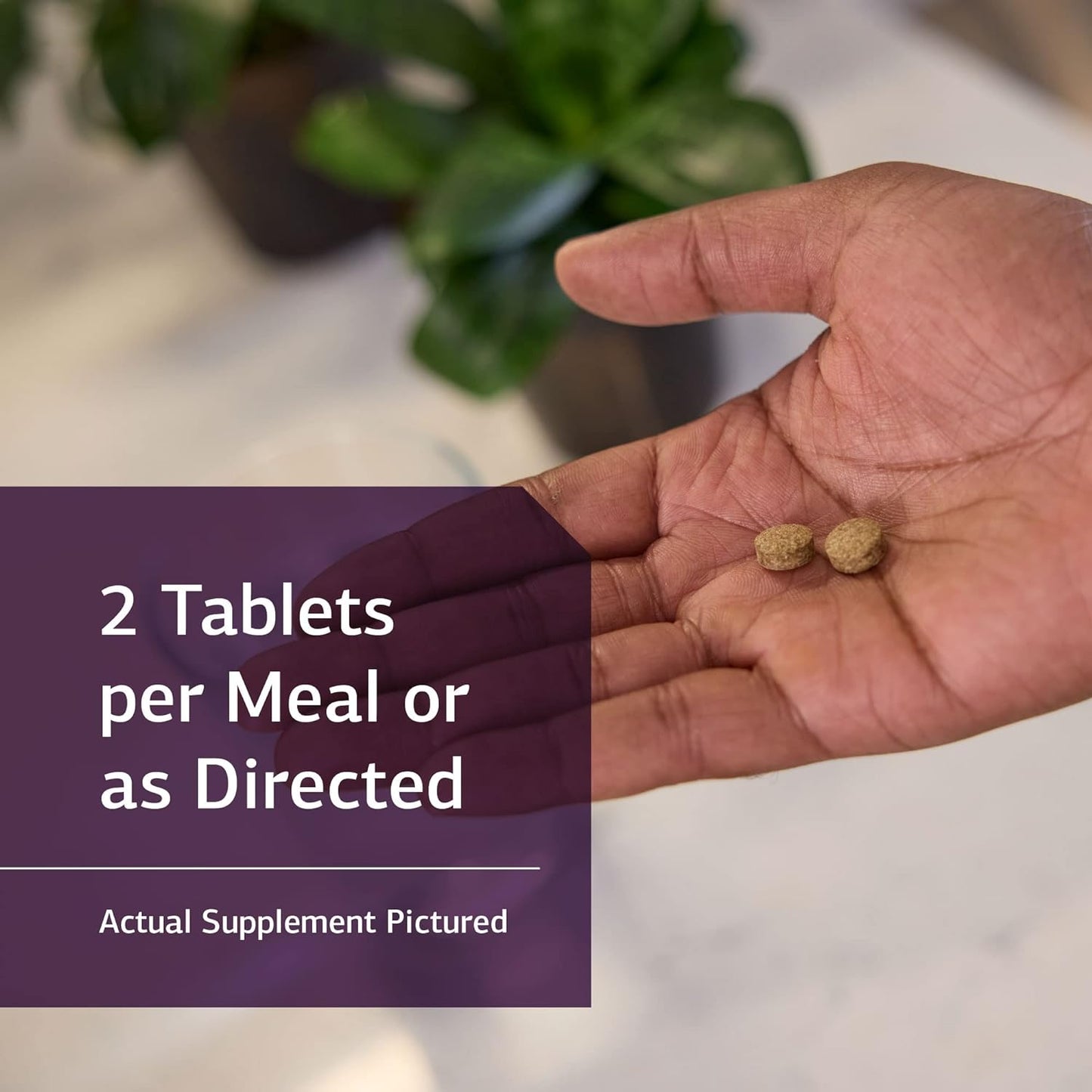 Standard Process Cholacol - Gallbladder Support Supplement 90 Tablets