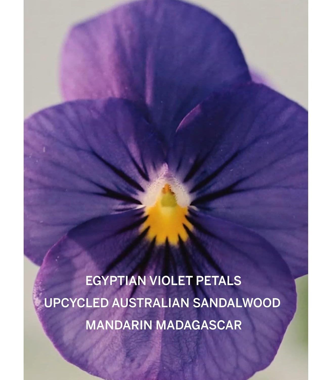 Victoria's Secret Bare Fragrance Mini Mist  Body Spray for Women (2.5 oz)