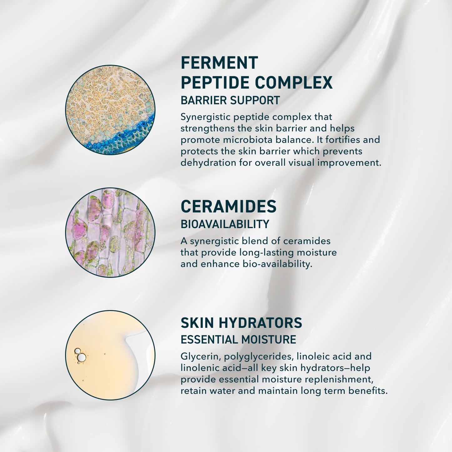 Prequel Skin AM/PM Modern Moisturizer – 2 fl oz