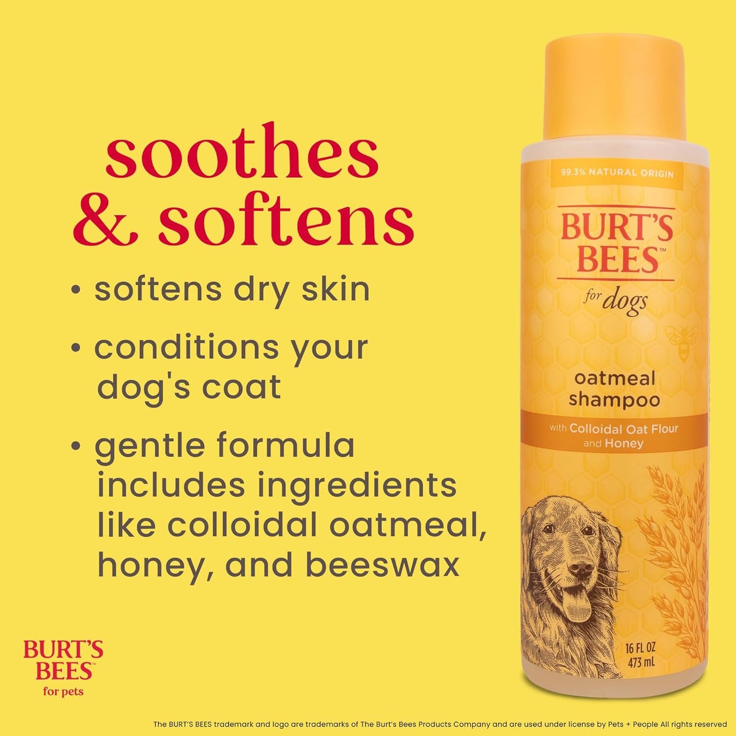 Burt's Bees for Pets Oatmeal Dog Shampoo - 16 Fl Oz