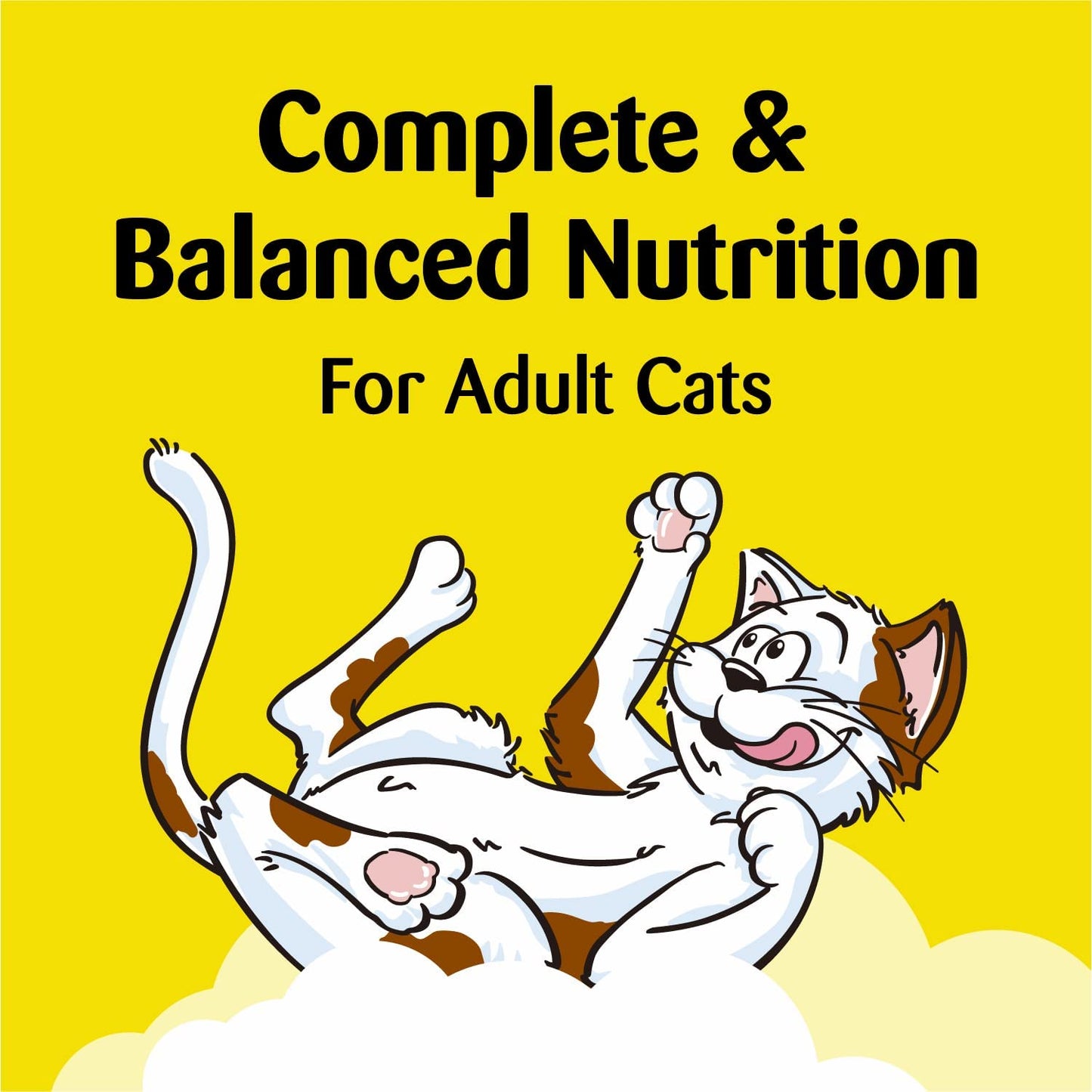 TEMPTATIONS Classic Crunchy and Soft Cat Treats Tasty Chicken Flavor, 30 oz. Tub