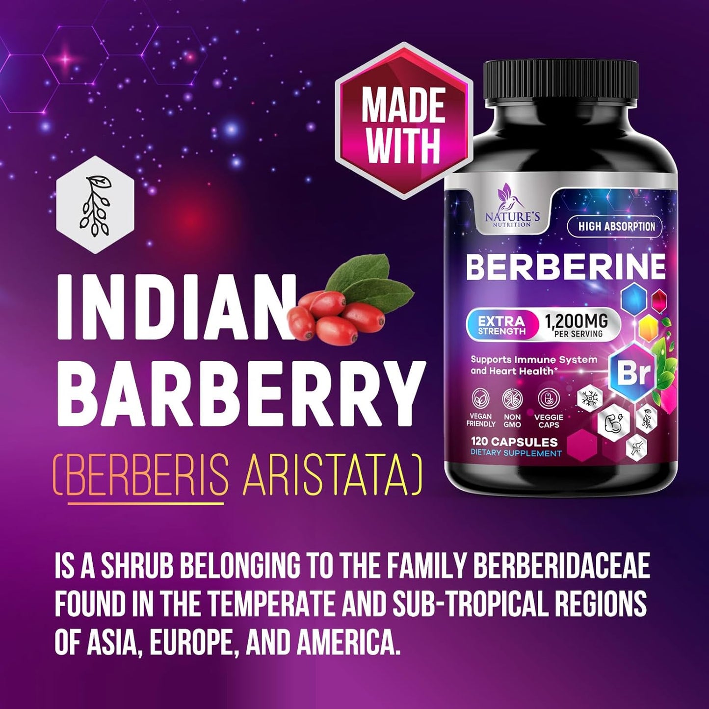 Berberine Supplement 1200mg, High Absorption Berberine -120 capsules