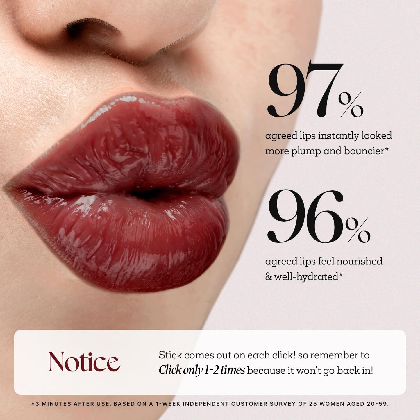 Nature Republic HONEY MELTING LIP PLUMPING (22 BERRY CHILL) SOFT LIP STICK