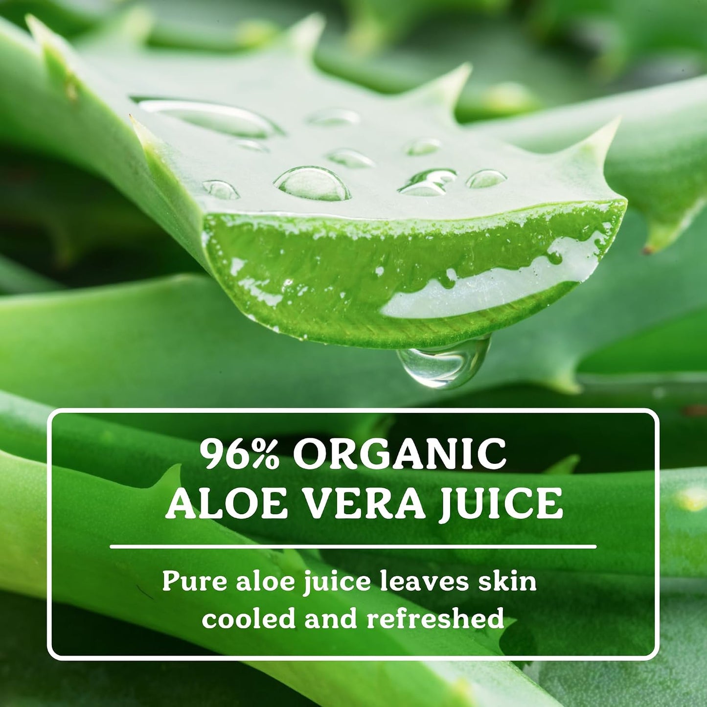 Badger Organic Aloe Vera Gel for Face & Body - 4 fl oz