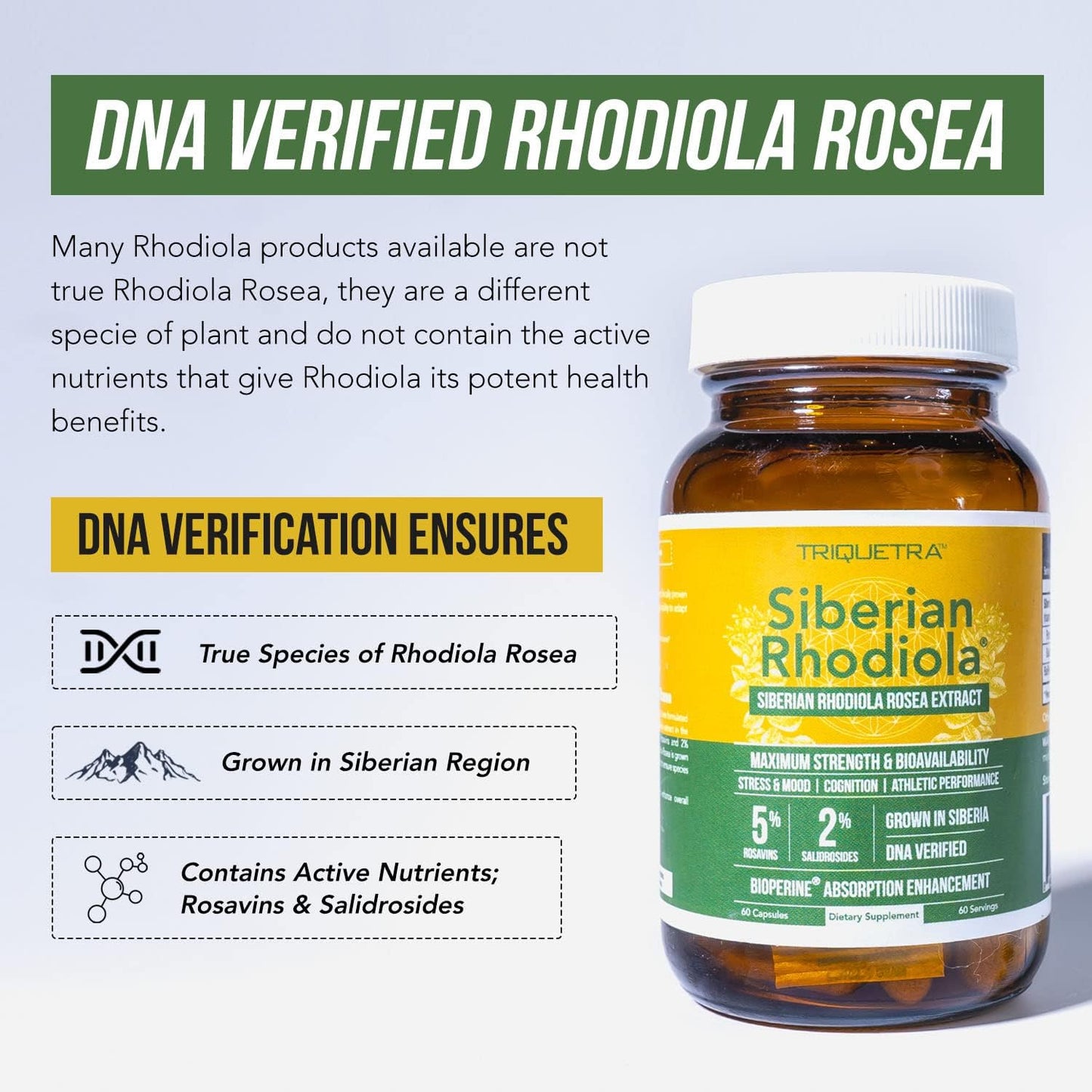 Siberian Rhodiola: Max Strength Rhodiola Rosea 60 Count