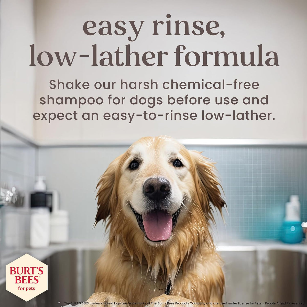 Burt's Bees for Pets Manuka Honey Tearless 2-in-1 Dog Shampoo - 16 Fl Oz