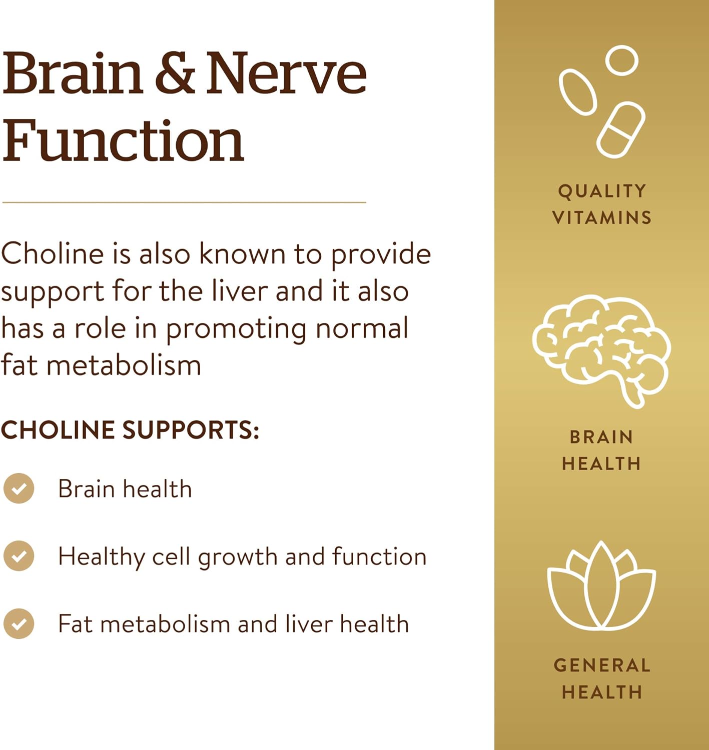 Solgar Choline Supports Healthy Brain & Cellular Function  100 Vegetable Capsules