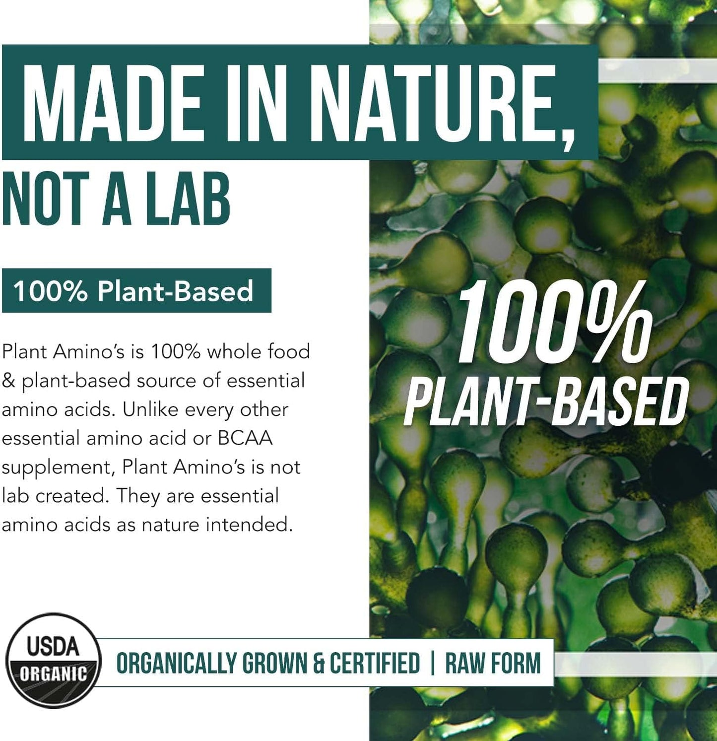 Plant Aminos Organic Essential Amino Acids  360 Tablets