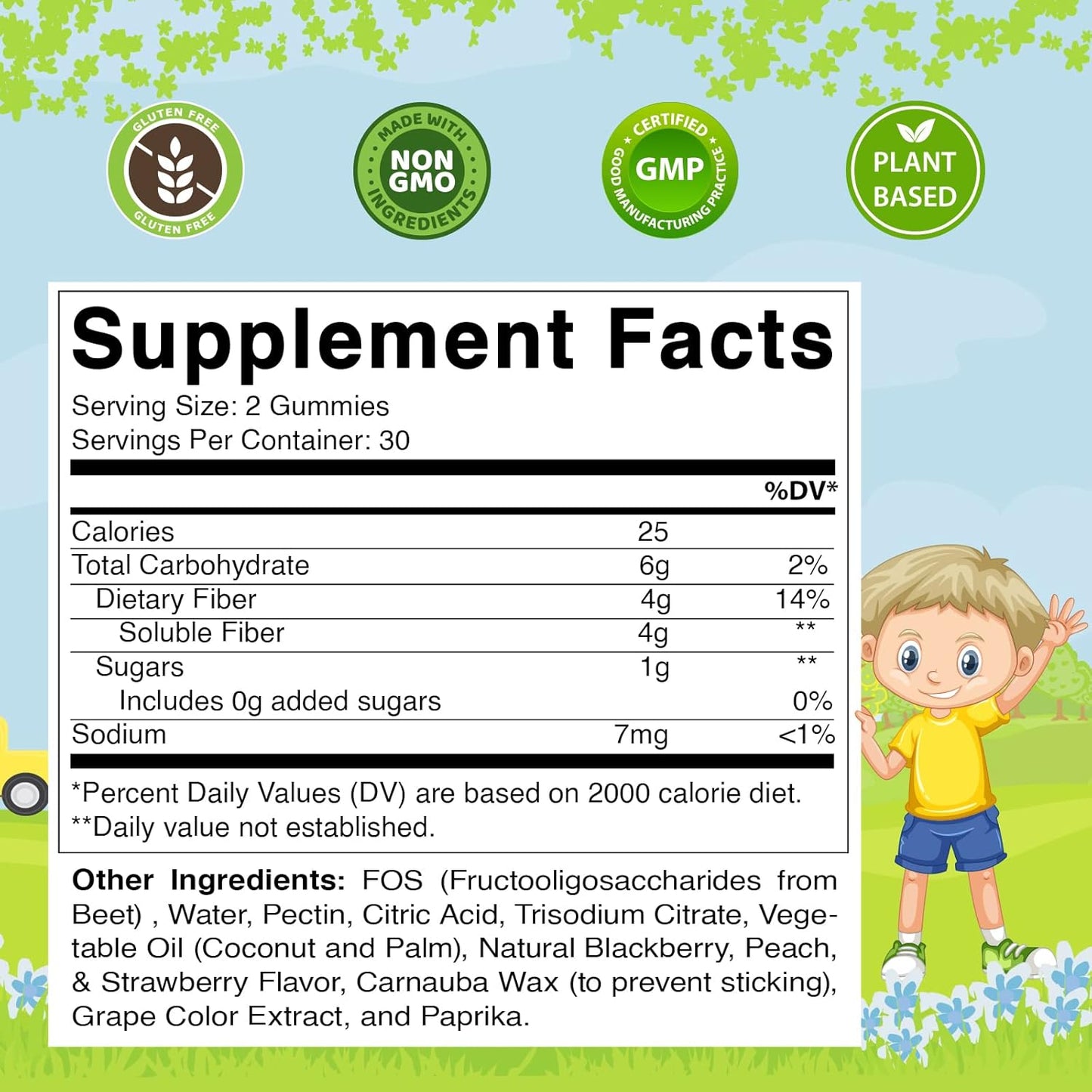 Vitamatic Kids Prebiotic Fiber Gummies Zero Sugar Added – 60  Gummies