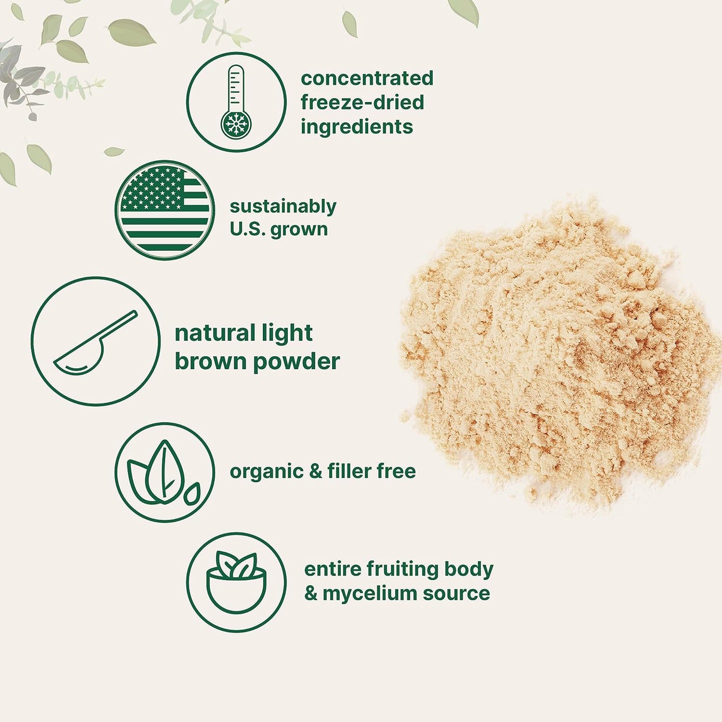 Micro Ingredients Organic Lions Mane Mushroom Supplement Powder 16 Ounce