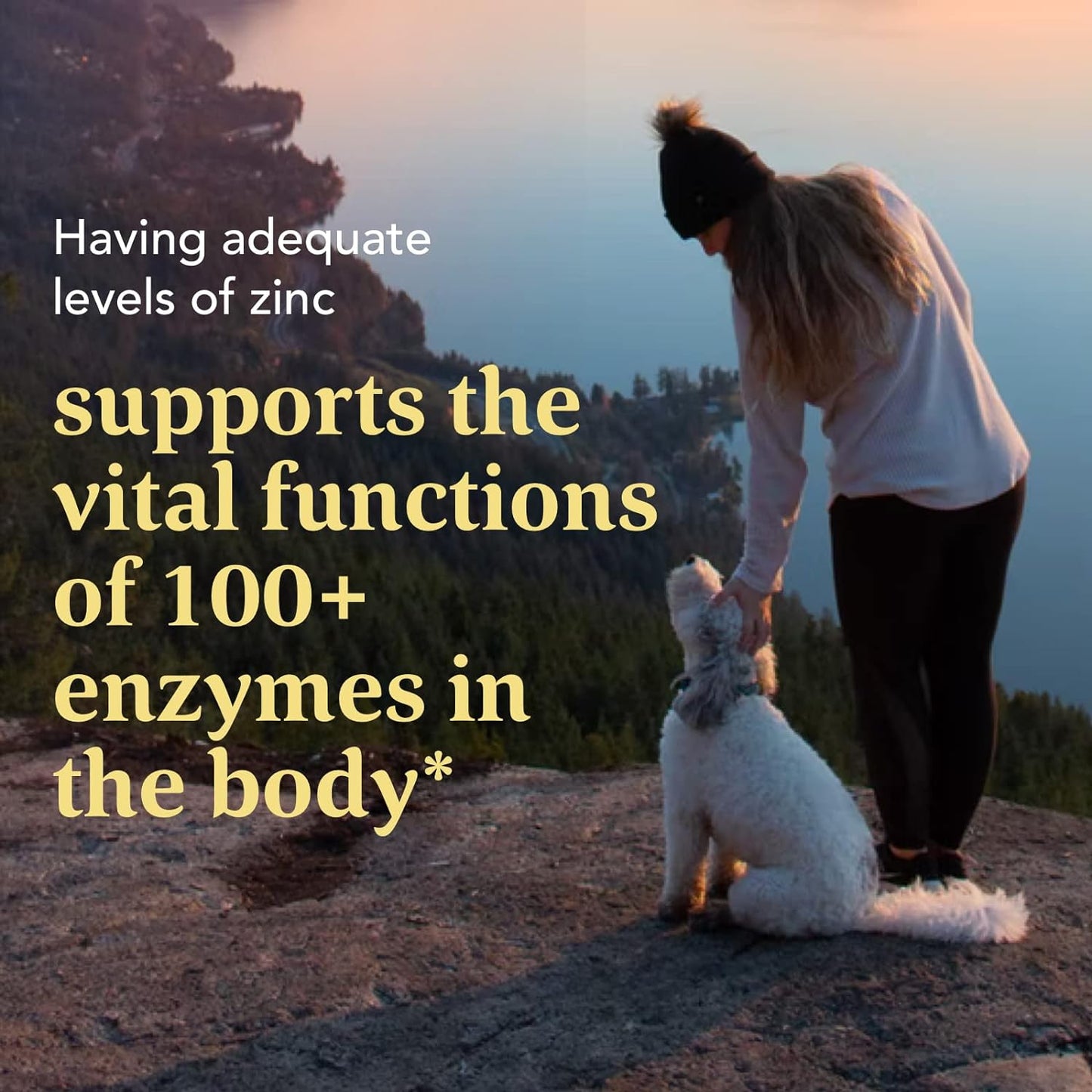 MegaFood Zinc - Immune Support Supplement 120 Tabs