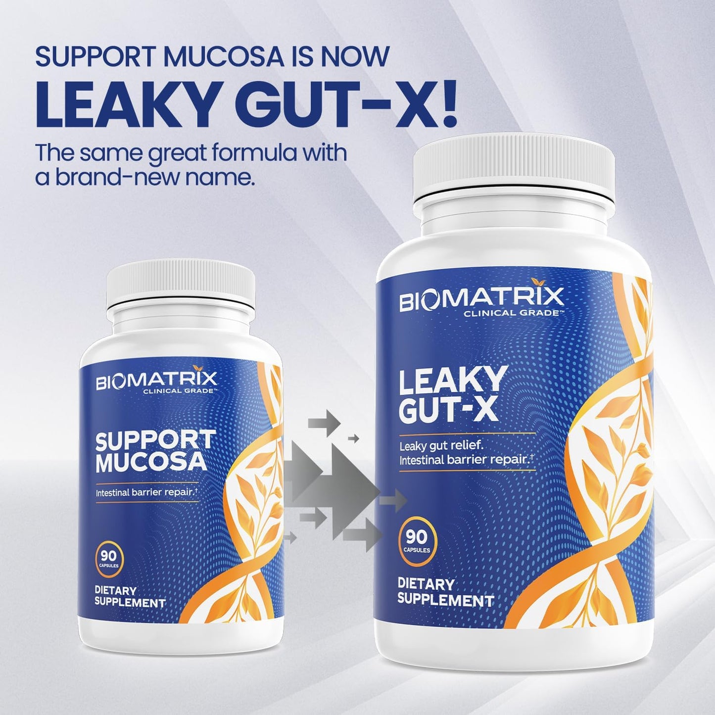 BioMatrix Leaky Gut Repair Supplement - 90 Veggie Caps
