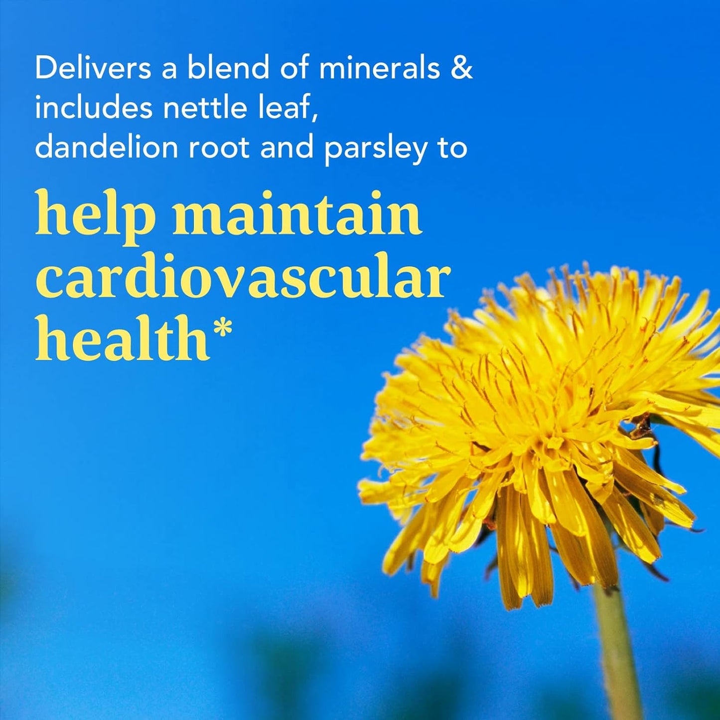 MegaFood Calcium Magnesium Supplement 90 count