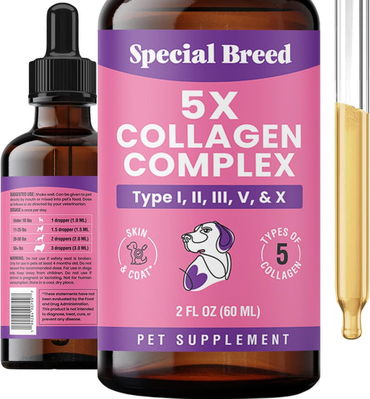 Premium Collagen for Dogs -- 2oz