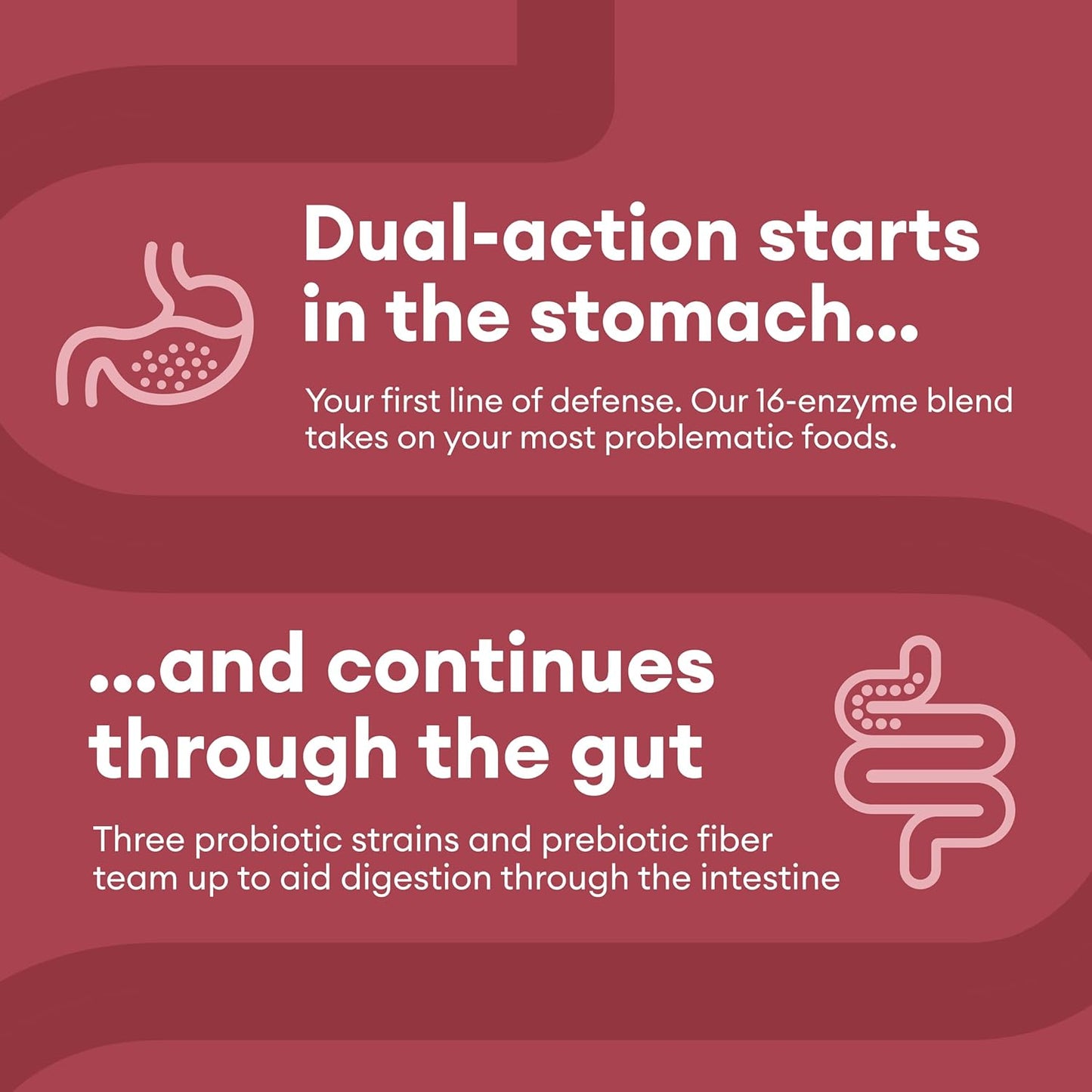 Physician's CHOICE Digestive Enzymes - 60 count