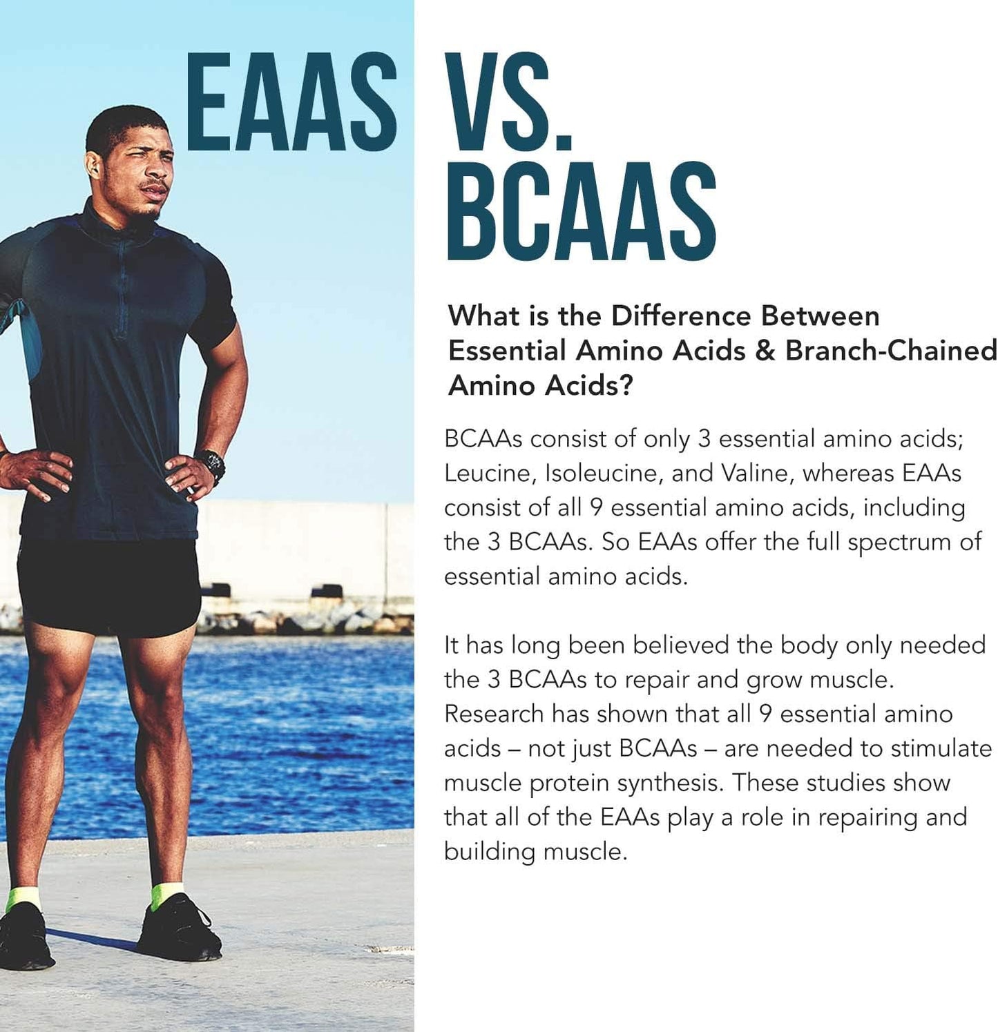 Plant Aminos Organic Essential Amino Acids  360 Tablets