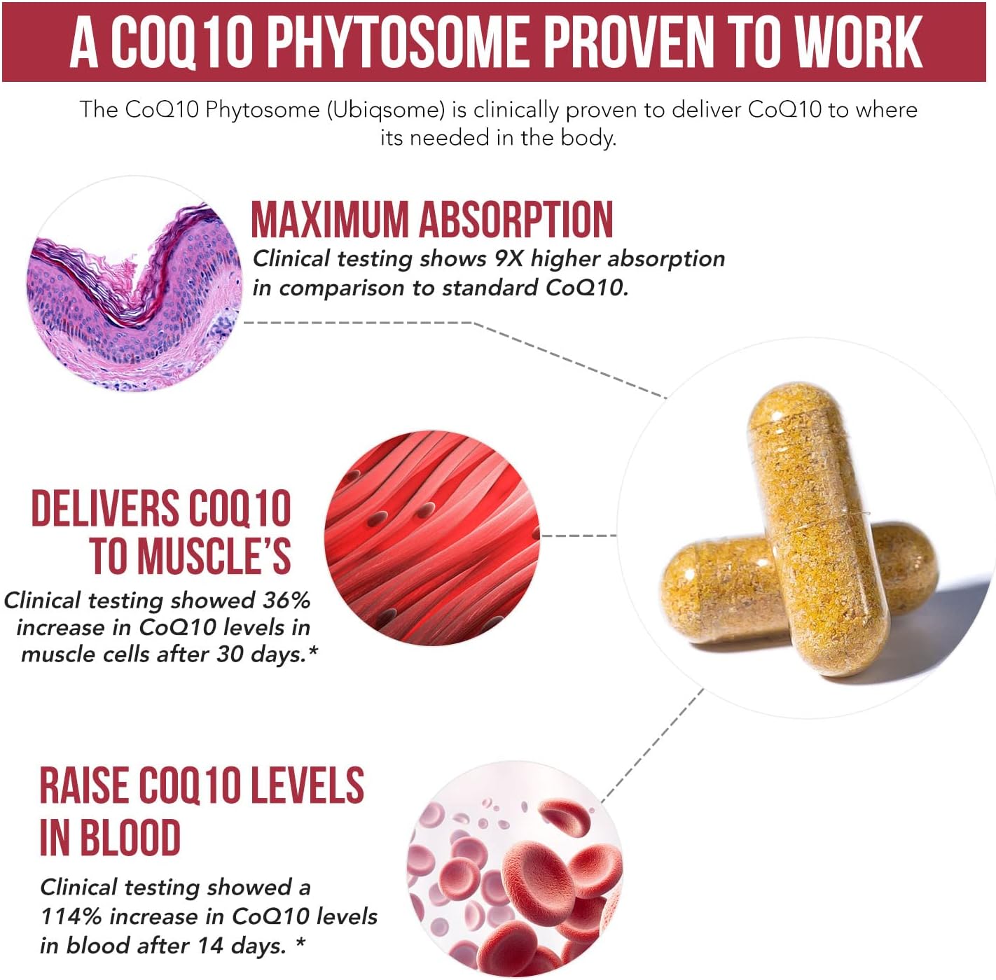 SoActive CoQ10® Phytosome with up to 9x  Higher Absorption 60 capsules