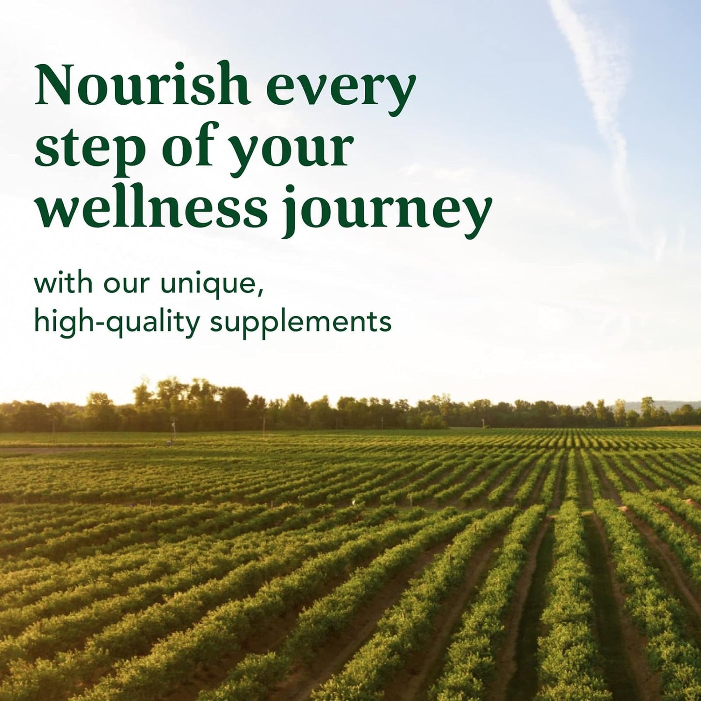 MegaFood Zinc - Immune Support Supplement 120 Tabs