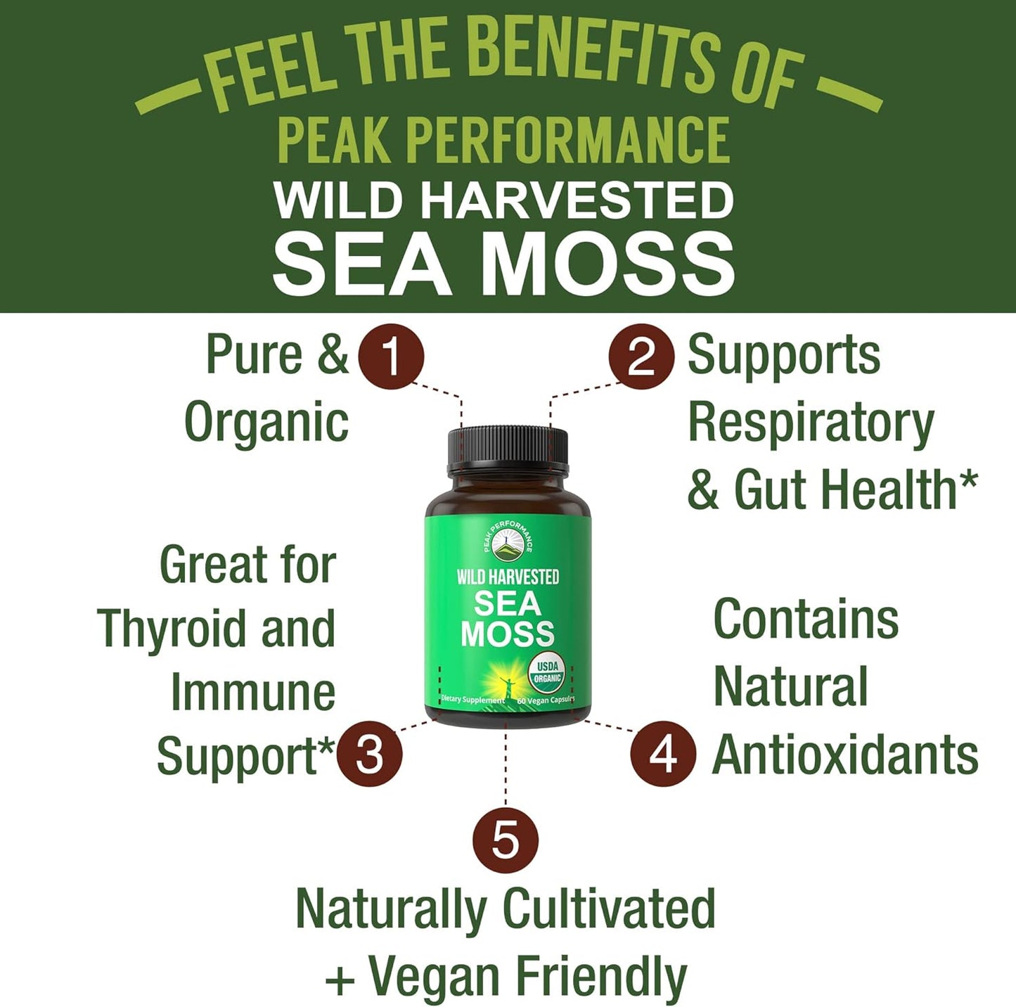 Organic Sea Moss Capsules. Wild Harvested Sea Moss