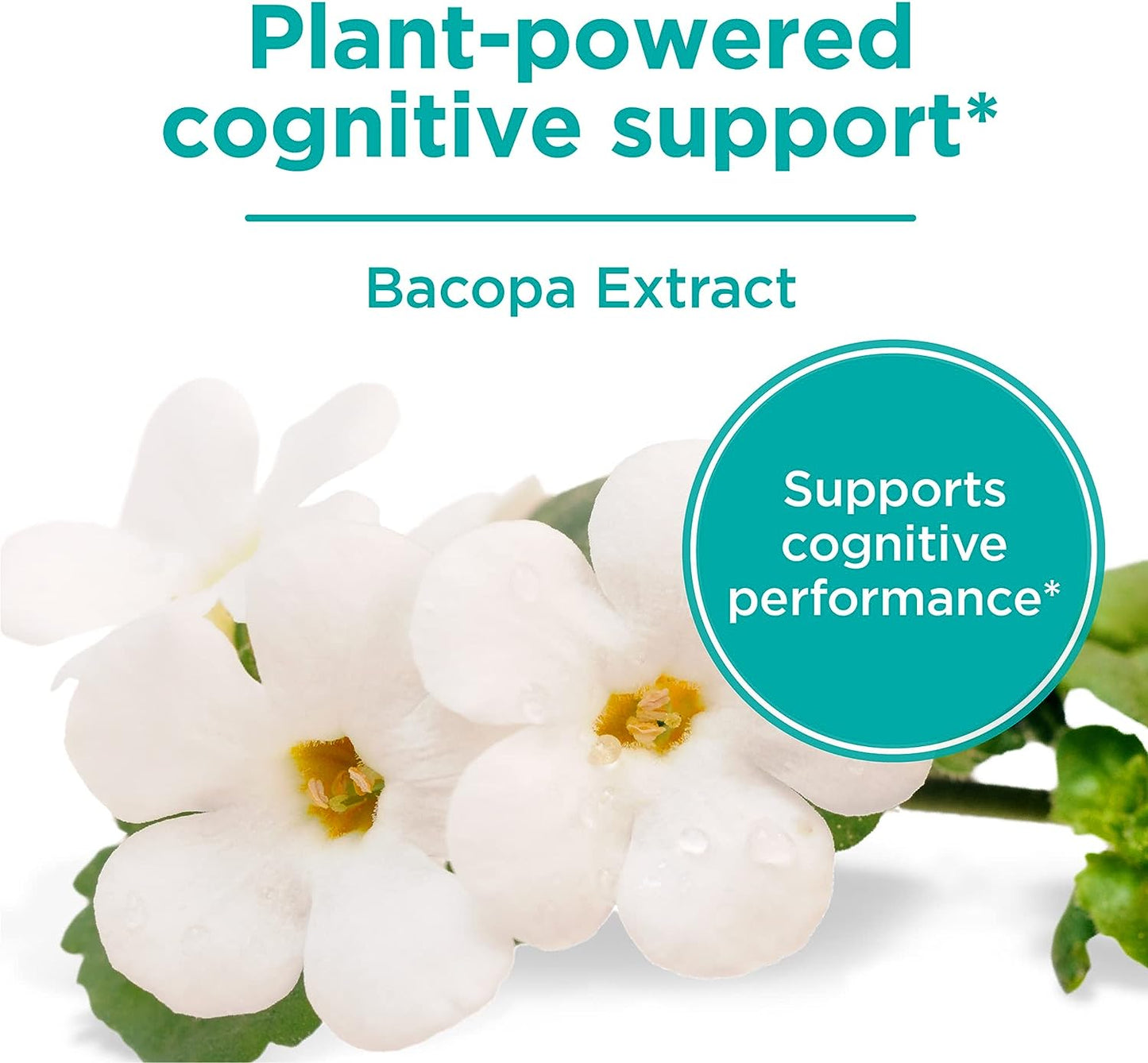 One-A-Day Cognitive Supplement 30 Capsules