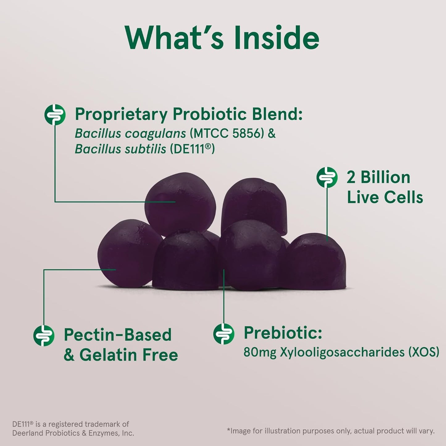 Jarrow Formulas Probiotic + Prebiotic 2 Billion Live Cells 90 Gummies