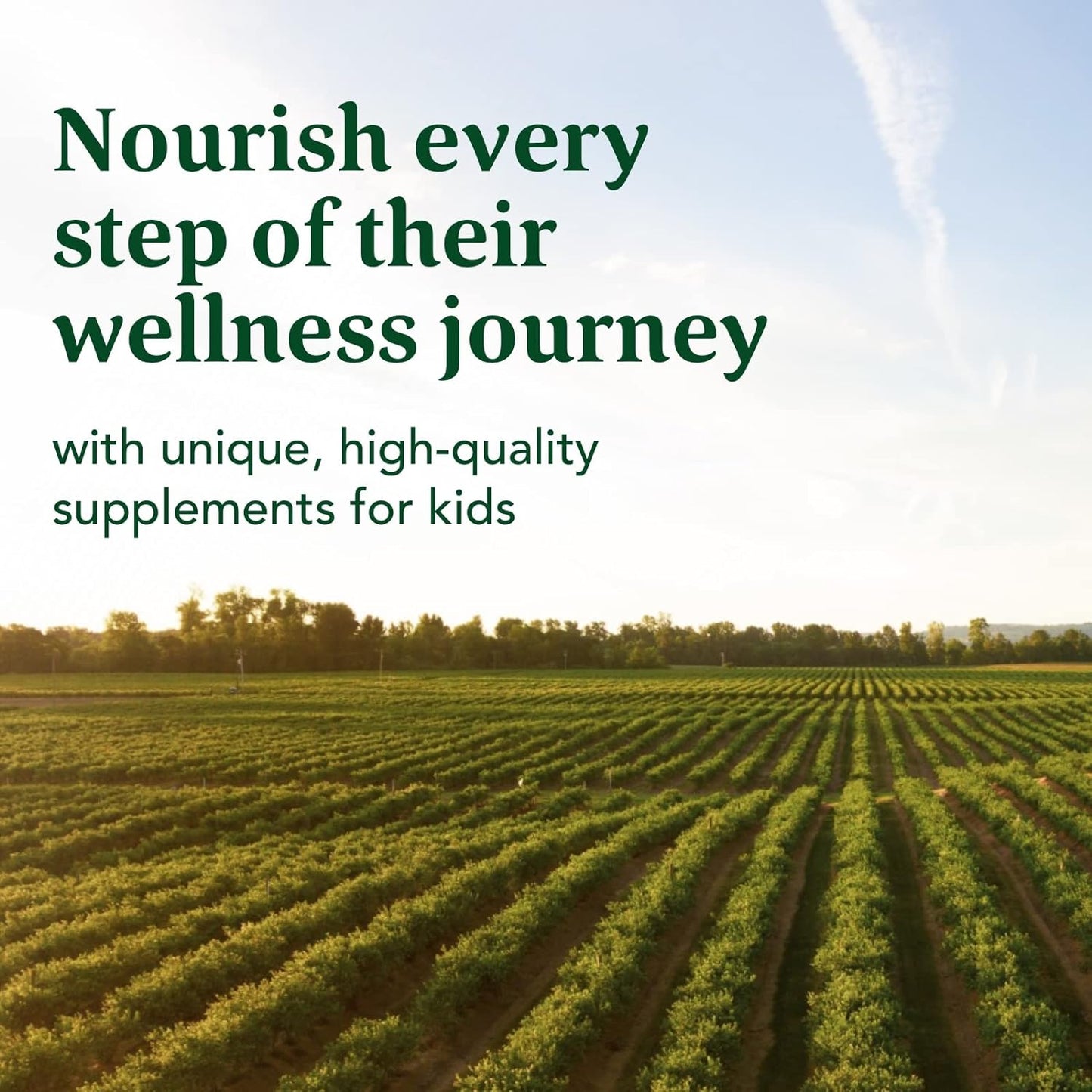 MegaFood Kids One Daily - Kids Vitamins  60 Mini Tabs