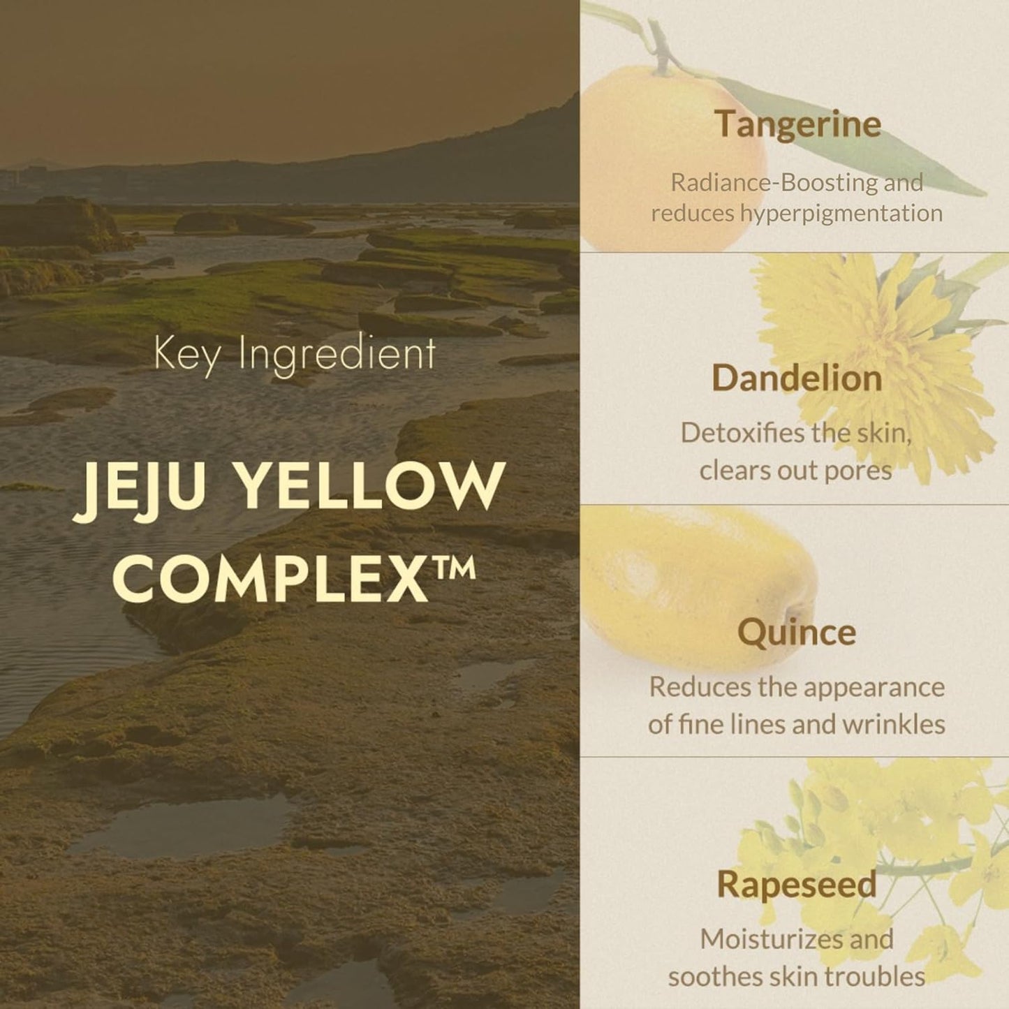 MIZON Joyful Time Jeju Face Mask Bundle  - (10 PCS)