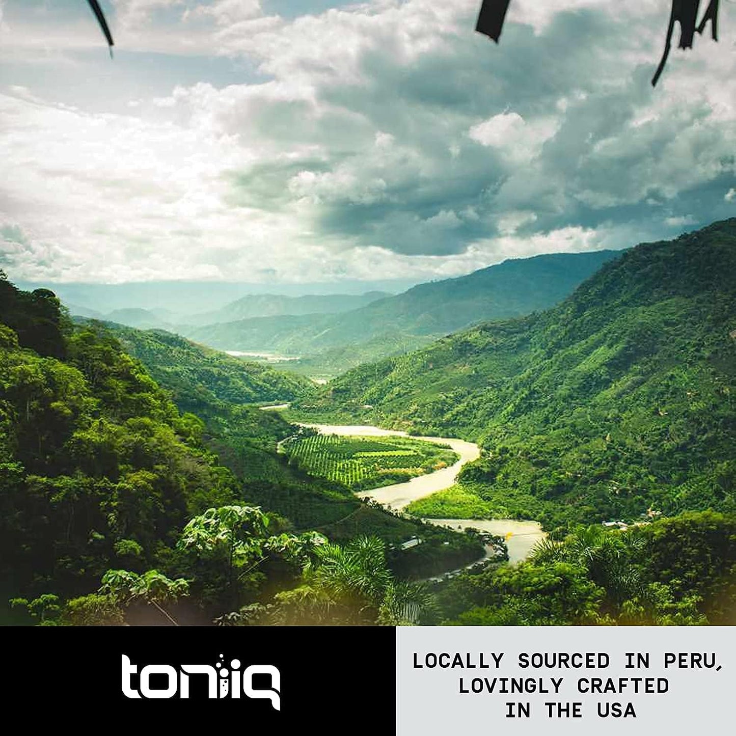 Toniiq 10,000mg 20x Concentrated Extract 90 capsules