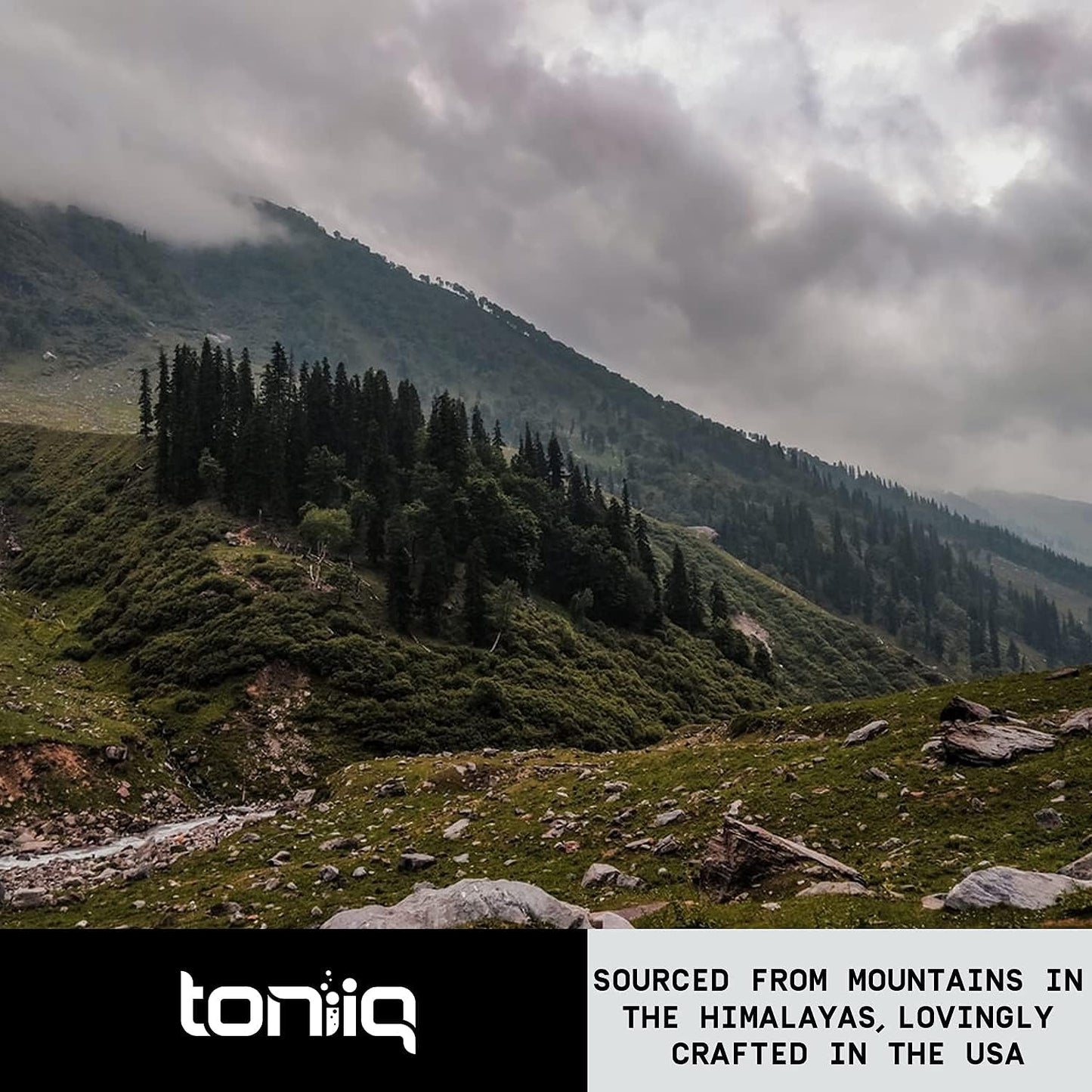 Toniiq Ultra High Strength Berberine HCl 500mg from The Himalayas - 90 Veggie Capsules