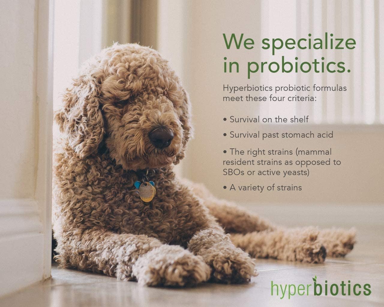 Hyperbiotics Pro Pets Probiotics | Probiotics for Dogs & Cats 60 count