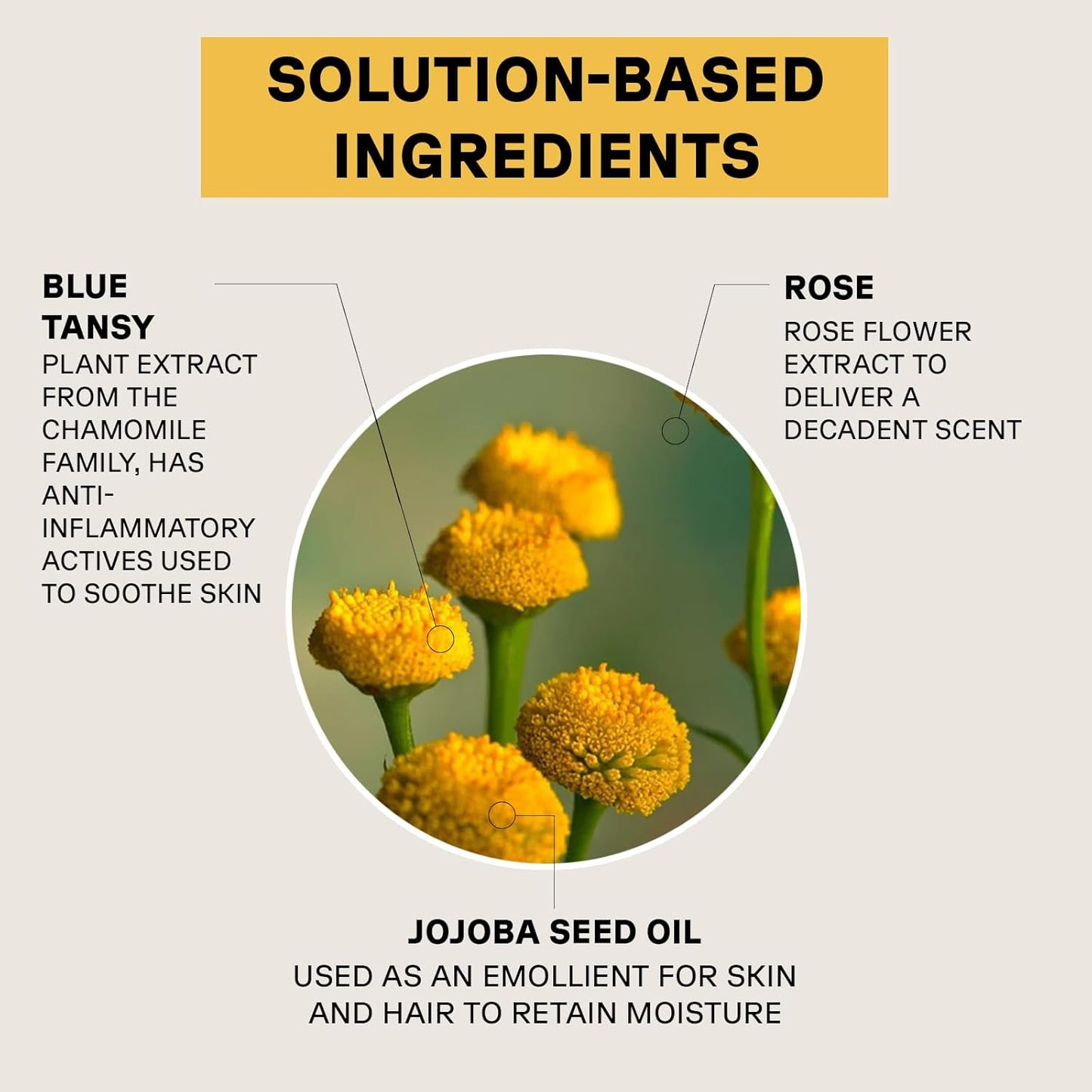 Acure Seriously Soothing Tansy Night Rose Oil - 1 oz
