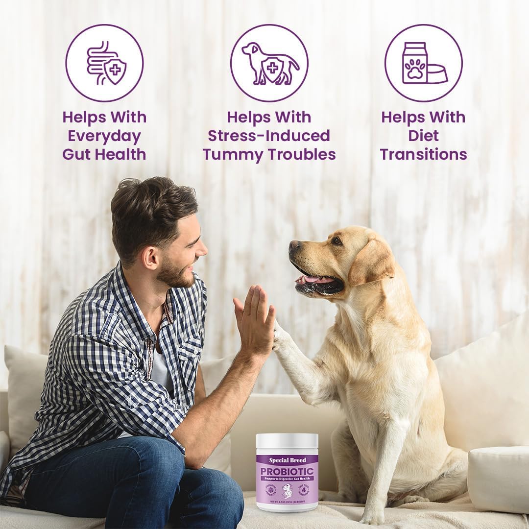 Special Breed Probiotic Powder for Dogs - 8.2 oz