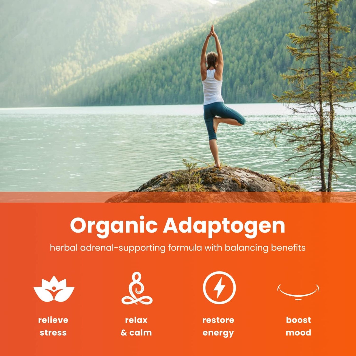 Organic Ashwagandha Capsules | 2000mg Adrenal Fatigue, 90 count